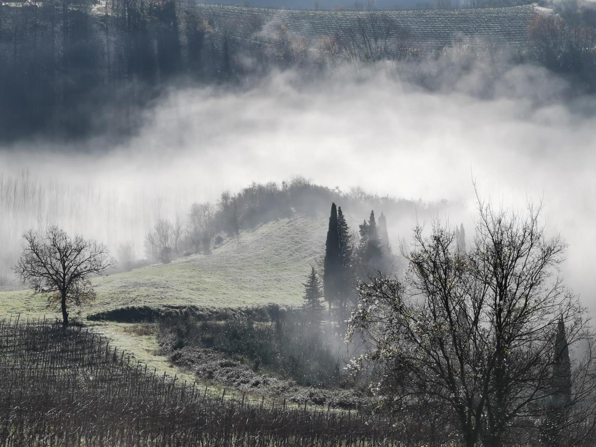 Agriturismo Bio Fattoria Bacio Чертальдо Экстерьер фото