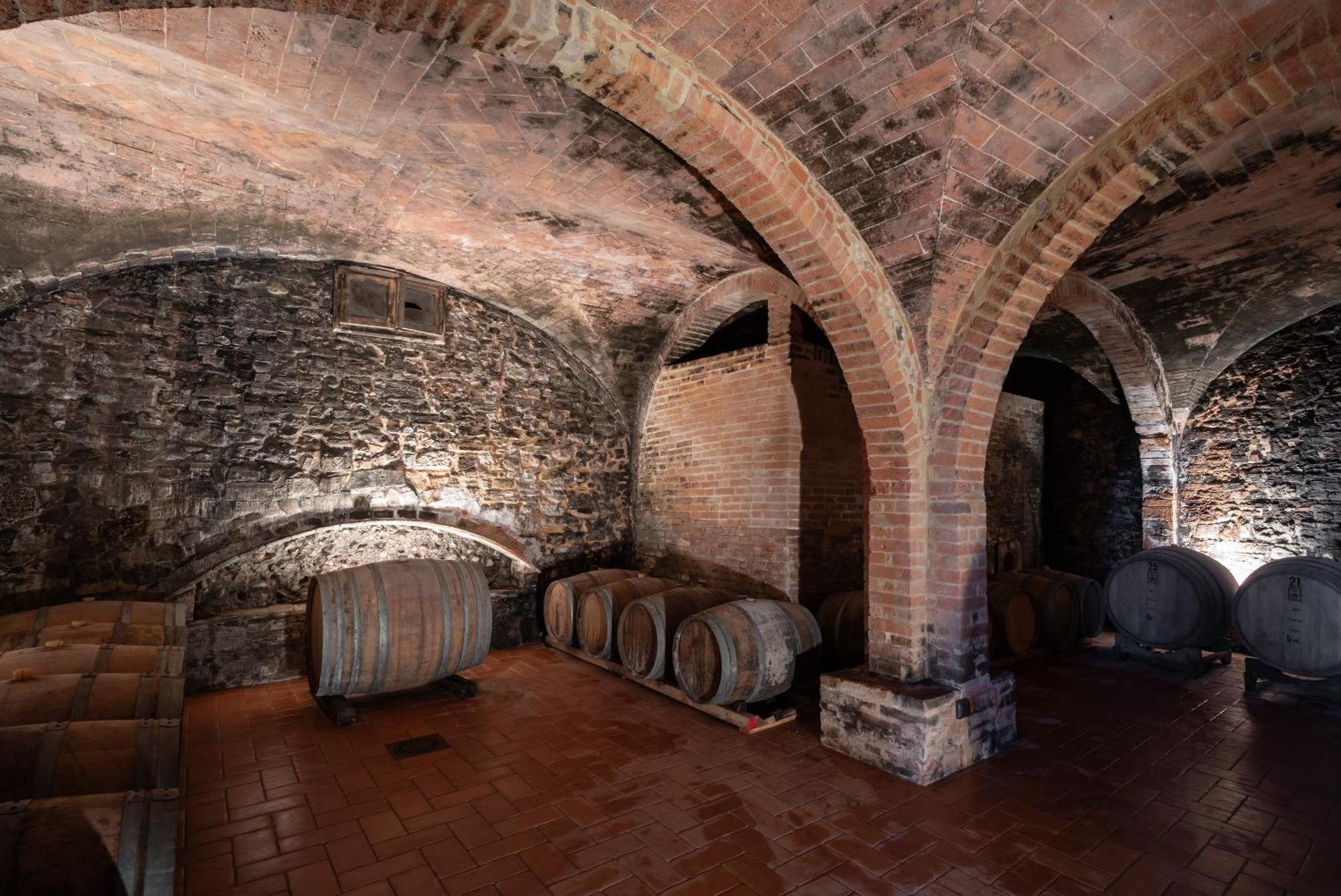 Agriturismo Bio Fattoria Bacio Чертальдо Экстерьер фото